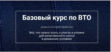 Базовый курс по ВТО (Лариса Клепачева)