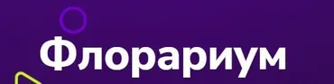[TutorPlace] Флорариум (Дарья Черданцева)