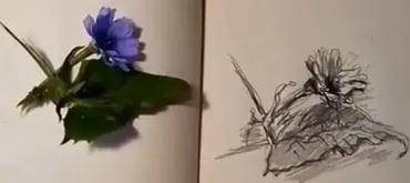 Быстрый скетч карандашом (Наталья Коневец)