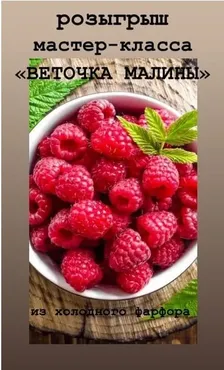 «Веточка малины» из холодного фарфора (Анжелика Флор)