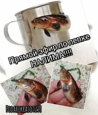 [Лепка] Прямой эфир по лепке налима (лепка на кружке) (Елена Тильзитская)