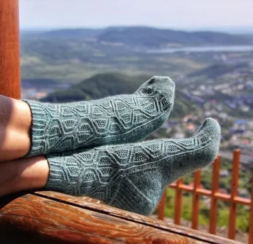 Носки «berry_socks_» (Светлана Квасина) @kvassvet