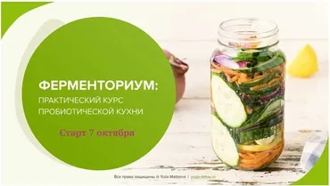 Ферменториум: практический курс пробиотической кухни (Юлия Мальцева)