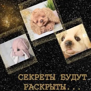 [Тедди] Мастер Класс «Живой Взгляд» (Анна Метелева)