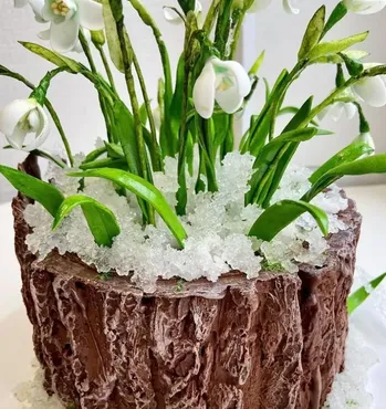 [Dolnyk Art Cake] Торт «Пенек с подснежниками» (Кристина Дольник)