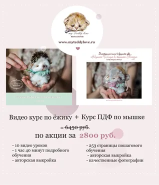 Видео курс по ёжику и электронная книга по мышке (Марика Шмидт)