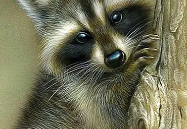 Роспись пряников. Портрет Анджелины Джоли. Тропический попугай, Енот (Lil Artjulia)