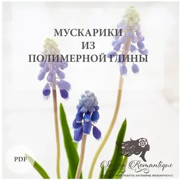 Мускарики (Антонина Мельниченко)