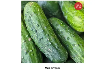 Мир огурцов (Кристианна Виниченко)