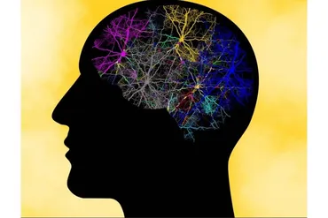 [Udemy] Системное мышление. Как стать системным мыслителем (Игорь Еграшкин)