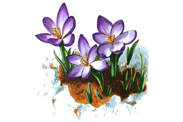 Flowers sketching (Евгения Липатова)