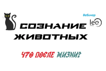 Сознание животных. Что после жизни? Транскрибация (Lee)