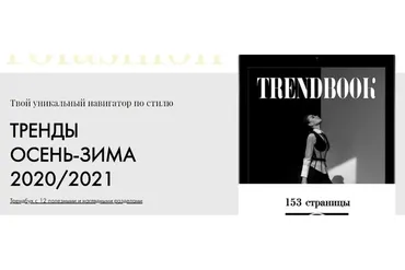 Трендбук. Осень-зима 2020/2021 (Карина Нигай)