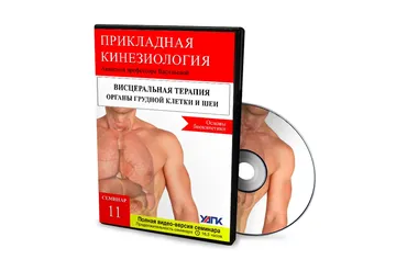 Висцеральная терапия органов грудной клетки и шеи. Основы Биокинетики (Михаил Савиных)