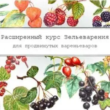 [dom_ulitki] Курс зельеварения. 12 месяцев. Август - new (Ирина Таро)