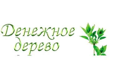 Денежное дерево (Инесса Власова)