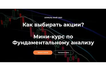 Мини-курс по фундаментальному анализу (Светлана Шишкина, Анна Харитонова)