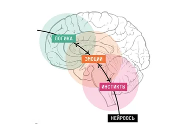 Новая орбита. Обновленный нейрокоучинг для достижения целей. Базовый (Катерина Ленгольд)