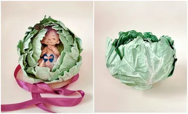 Капуста с секретом. Органайзер (Инесса Петухова)