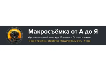 Макросъёмка от А до Я (Владимир Сковородников)