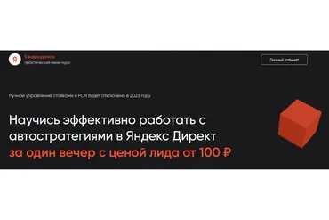 Научись эффективно работать с автостратегиями в Яндекс Директ за один вечер (Михаил Серпокрылов)