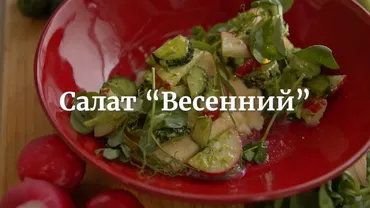 [Novikov school] Салат «Весенний» (Дмитрий Хамов)