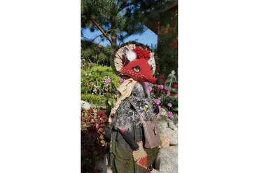 Лиса Алиса (Елена Войнатовская)