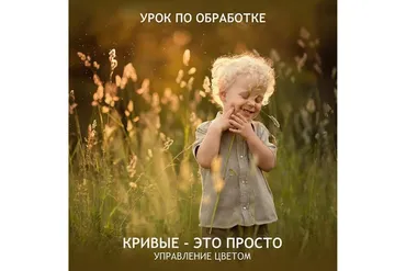 Кривые - это просто. Управление цветом (Татьяна Тетерева)