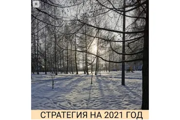 Стратегия на 2021 год (Александр Петров)