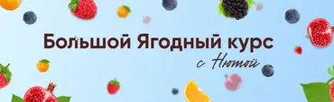 [Школа лепки Нюты] Большой ягодный курс 2.0. Тариф Базовый (Анна Медведева)