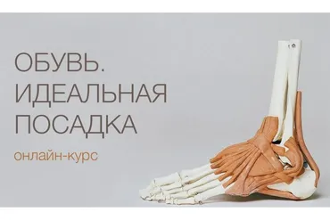 Обувь. Идеальная посадка  (Полина Вахитова)