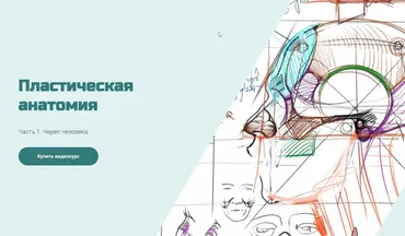 Череп человека (Александр Рыжкин)