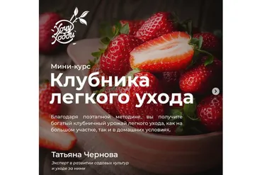 [ХочуХобби] Клубника лёгкого ухода (Татьяна Чернова)