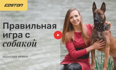 Правильная игра с собакой (Ирина Безуглая)