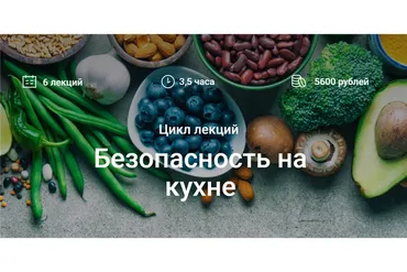 Безопасность на кухне (Елена Мотова)