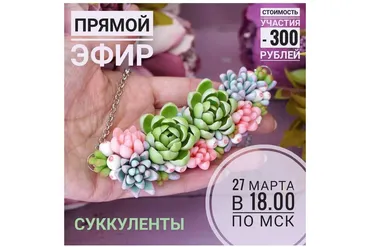 Суккуленты (Rusalina_Cernit)