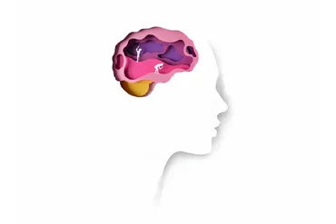 [EduNote] Мозг и эмоции: современные исследования в нейронауке (Ольга Мельникова)