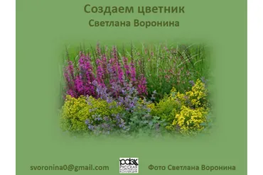 [РФК] Создание цветника (Светлана Воронина)