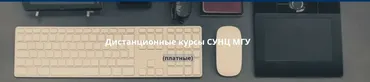 [СУНЦ МГУ] Олимпиадная математика для младших школьников. 3 класс, 1 семестр (Виктория Журавлева)