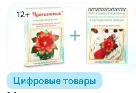[Блеск Атласа] Пуансеттия из атласных лент и 9 идей по её применению