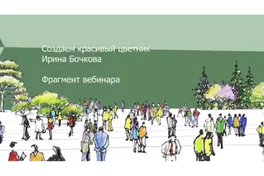 [Зеленая стрела] Создаем красивый цветник (Ирина Бочкова)