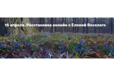 15 апреля. Расстановка онлайн (Елена Веселаго)