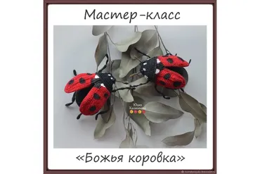Божья коровка (Юлия Калмыкова)
