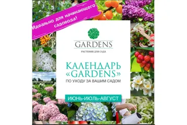 [Gardens] Календарь обработок и работ в саду. Лето