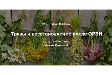 Травы и восстановление после ОРВИ (Ирина Гудаева)