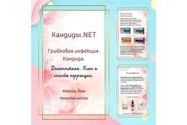 Руководство Кандиды.net (Катерина Форма)