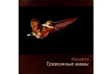 [Robo.Market] Тревожные мамы (Игорь Мочалов)