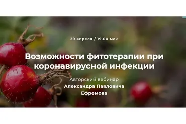 Возможности фитотерапии при коронавирусной инфекции (Александр Ефремов)