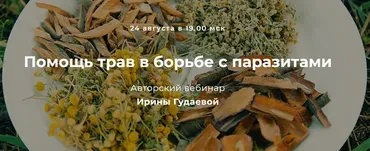 Помощь трав в борьбе с паразитами (Ирина Гудаева)