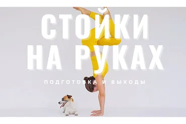 Стойки на руках: от нуля. Подготовка и выходы + Подготовка рук к стойкам (Евгения Токц)